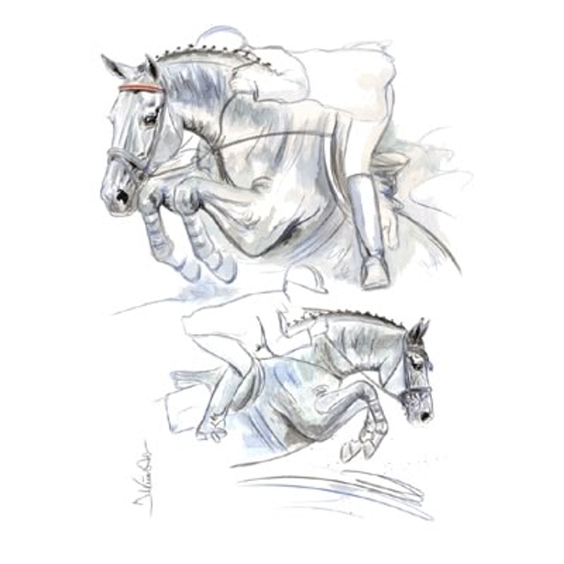 Livorno (Show Jumper) By: Jan Kunster