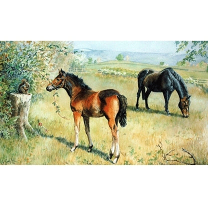 5-581919.jpg
