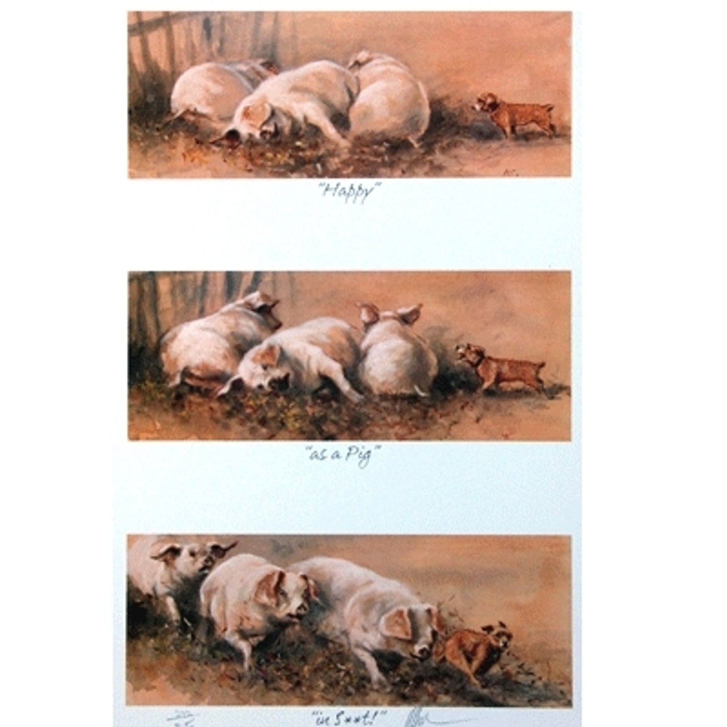 5-581968.jpg