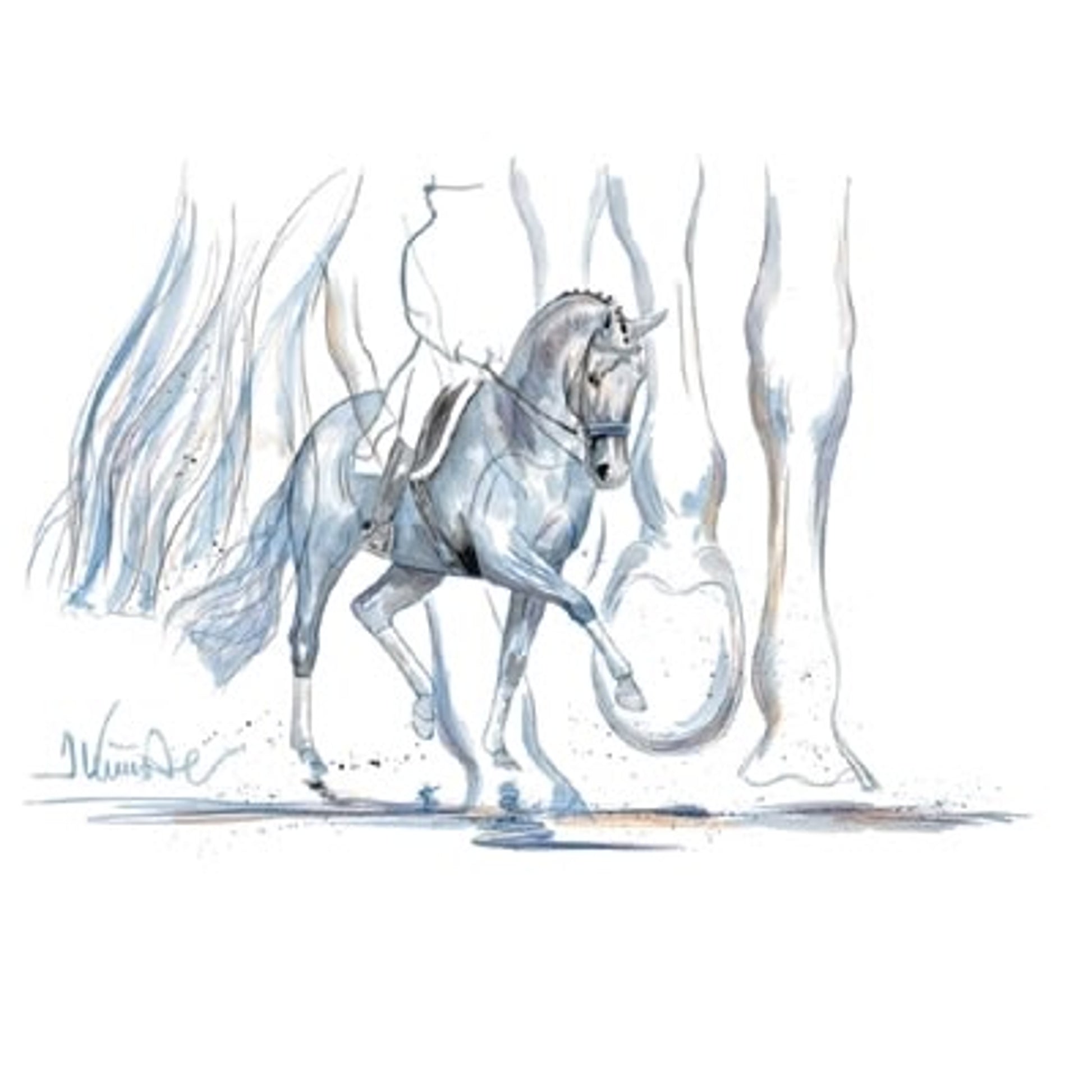 Azzurro (Dressage) By Jan Kunster
