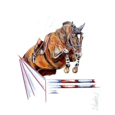 Jumping Jack Flash (Show Jumper) By: Jan Kunster