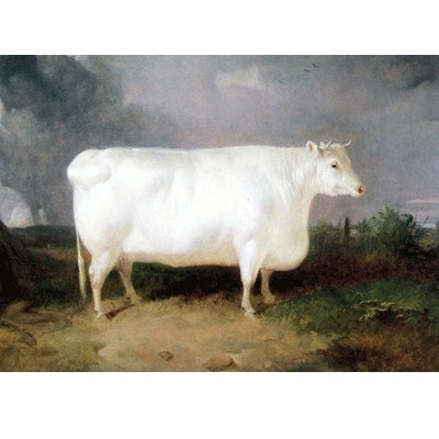 5-582389.jpg