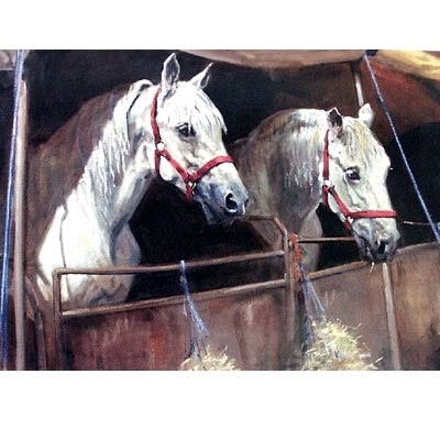 Waiting for the Show Blank Greeting Cards - 6 Pack