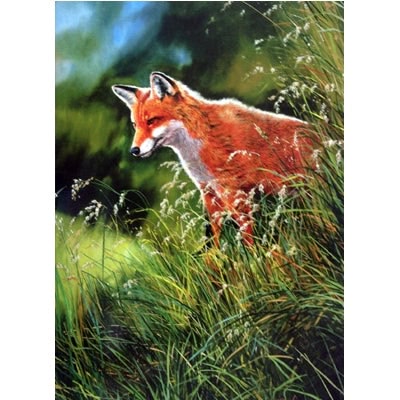 Fox and Fox Hunting - In the Grass Blank Greeting Cards - 6 Pack