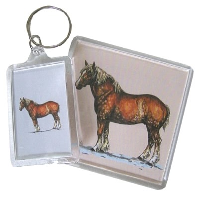 Accessory Bag Clip Strip