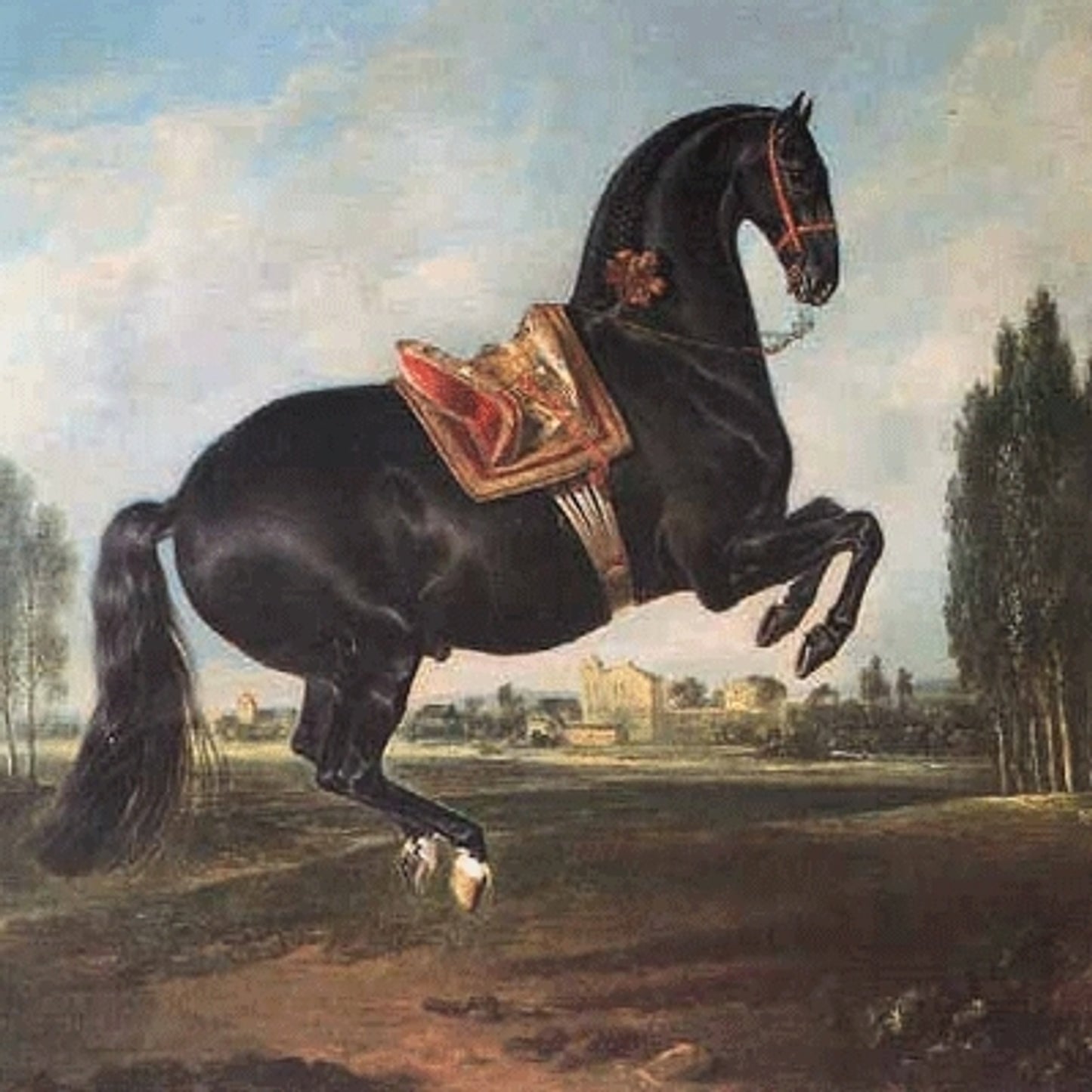 5-583232.jpg