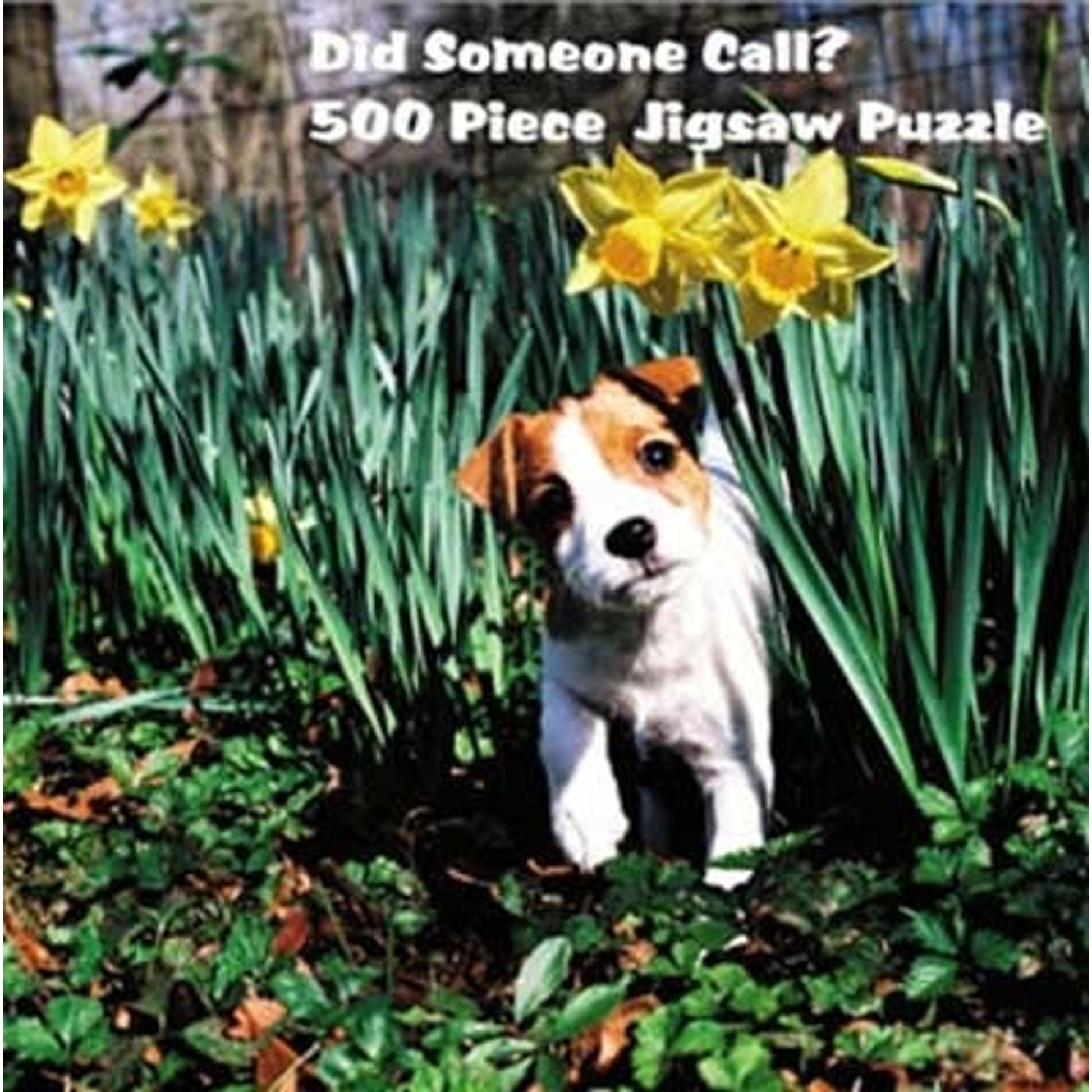 Puzzle - Jack Russell