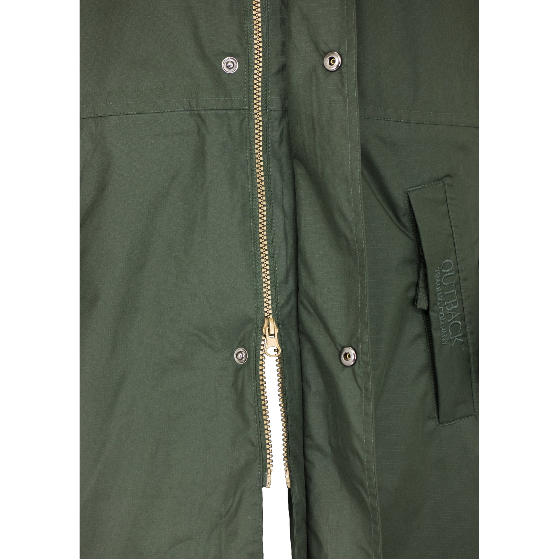 5-622767-olive2.jpg