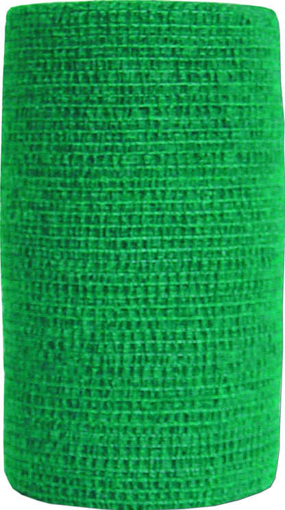 5-632812.jpg