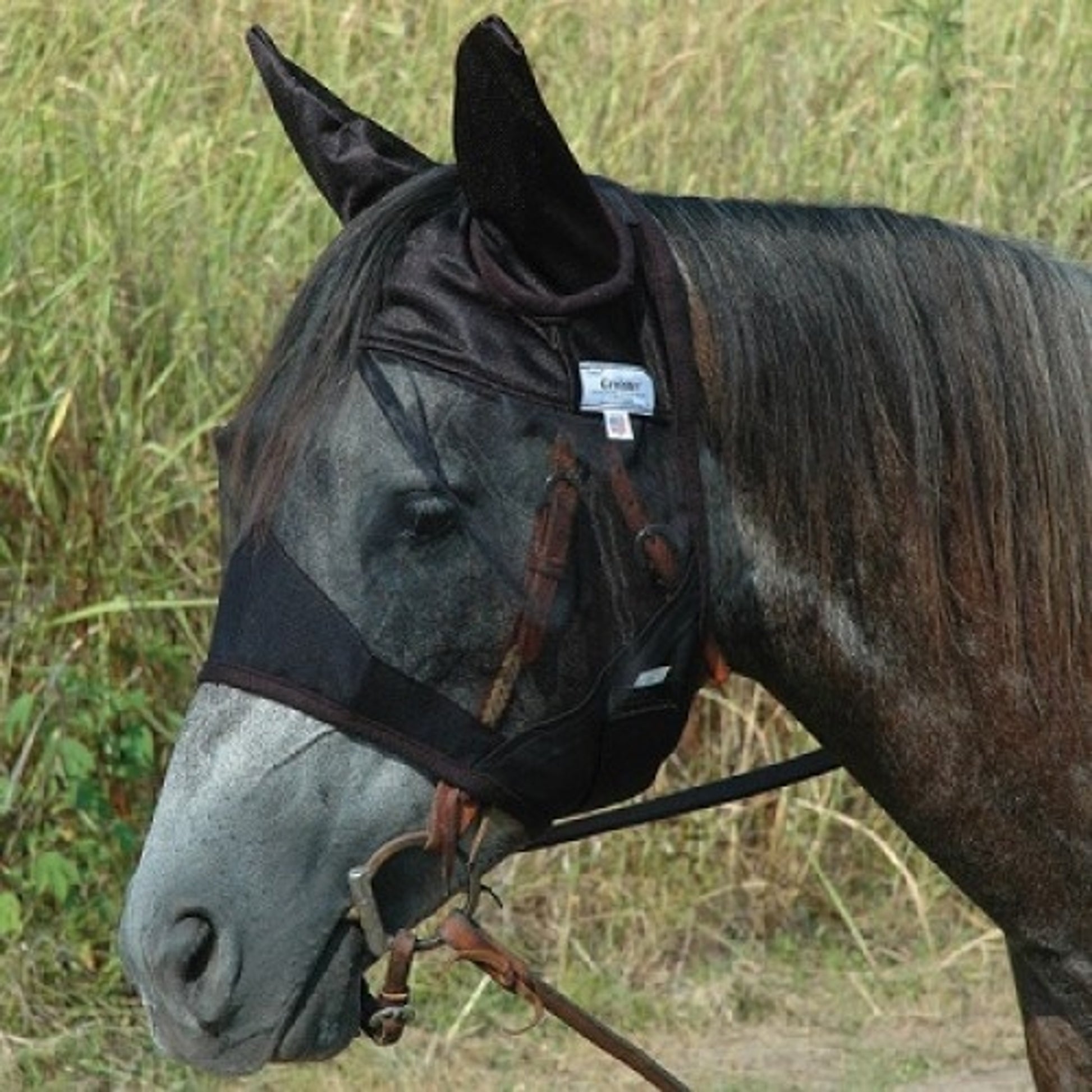 5-645186.jpg