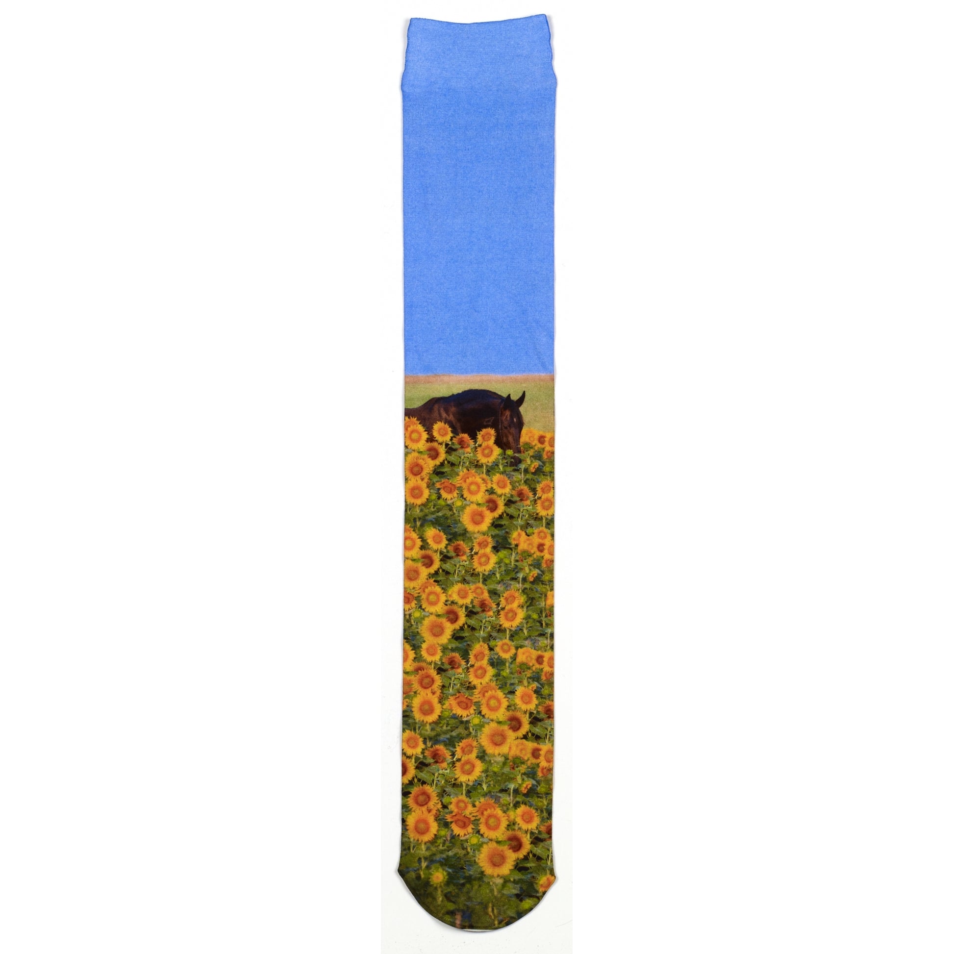 5-651159-sunflowerhorse.jpg