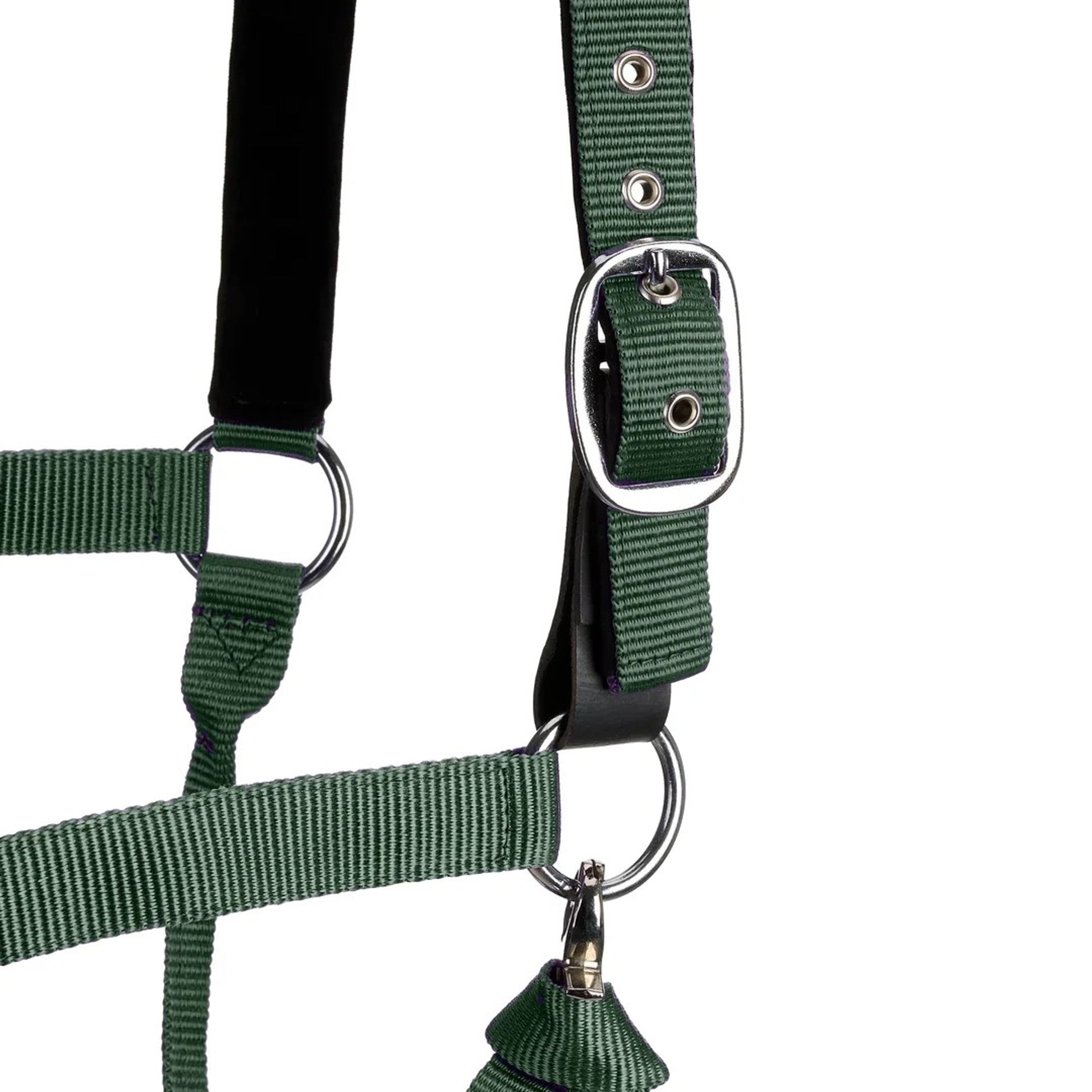 Centaur Solid Cushion Padded Breakaway Halter