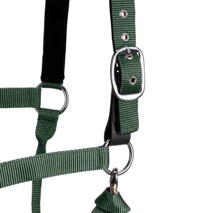 Centaur Solid Cushion Padded Breakaway Halter