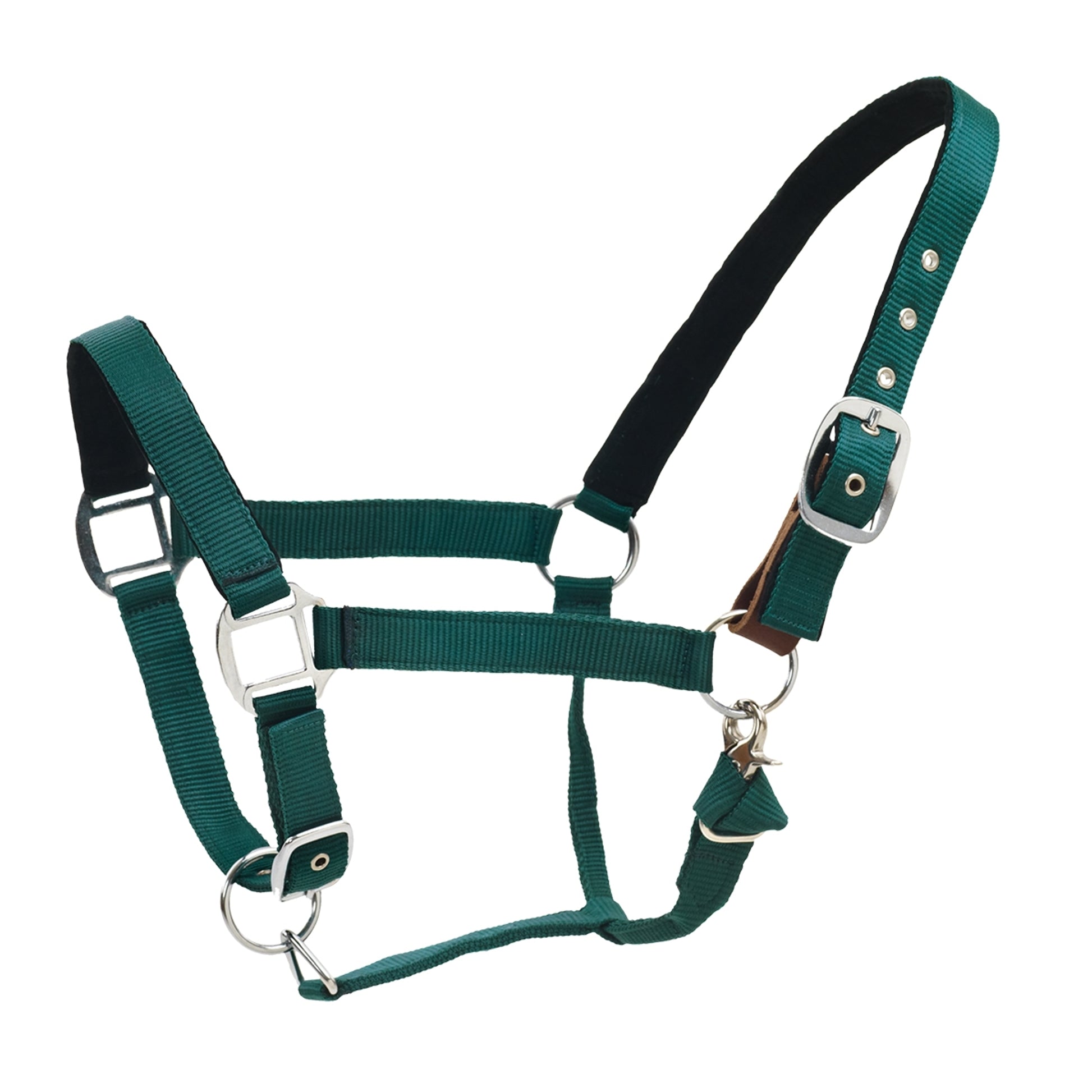 Centaur Solid Cushion Padded Breakaway Halter