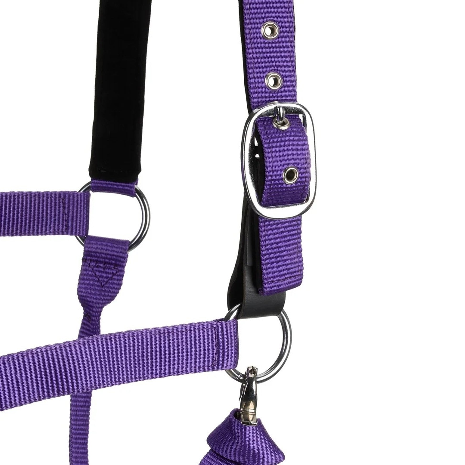 Centaur Solid Cushion Padded Breakaway Halter