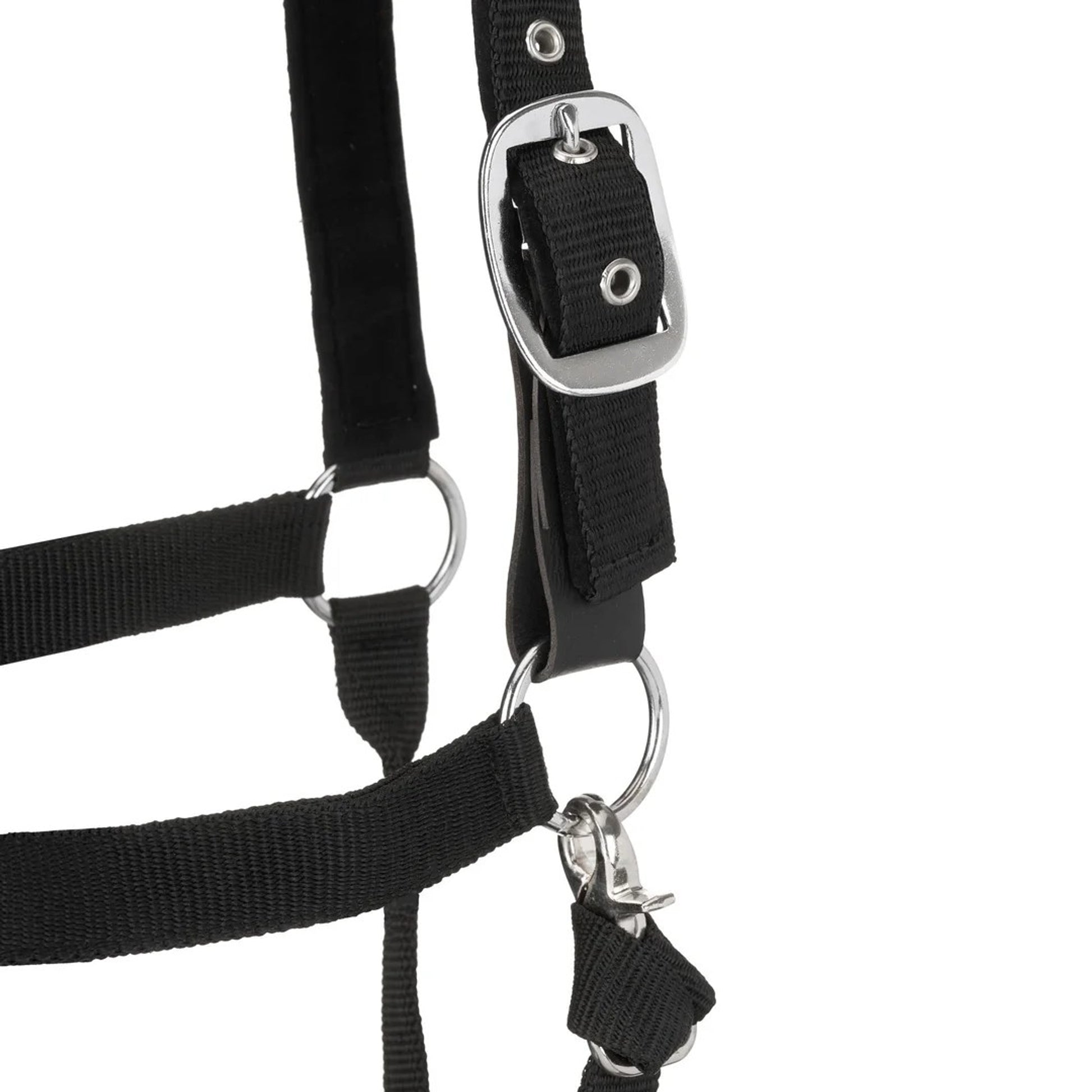 Centaur Solid Cushion Padded Breakaway Halter