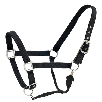 Centaur Solid Cushion Padded Breakaway Halter