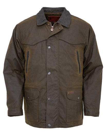5-702436-bronze1.jpg