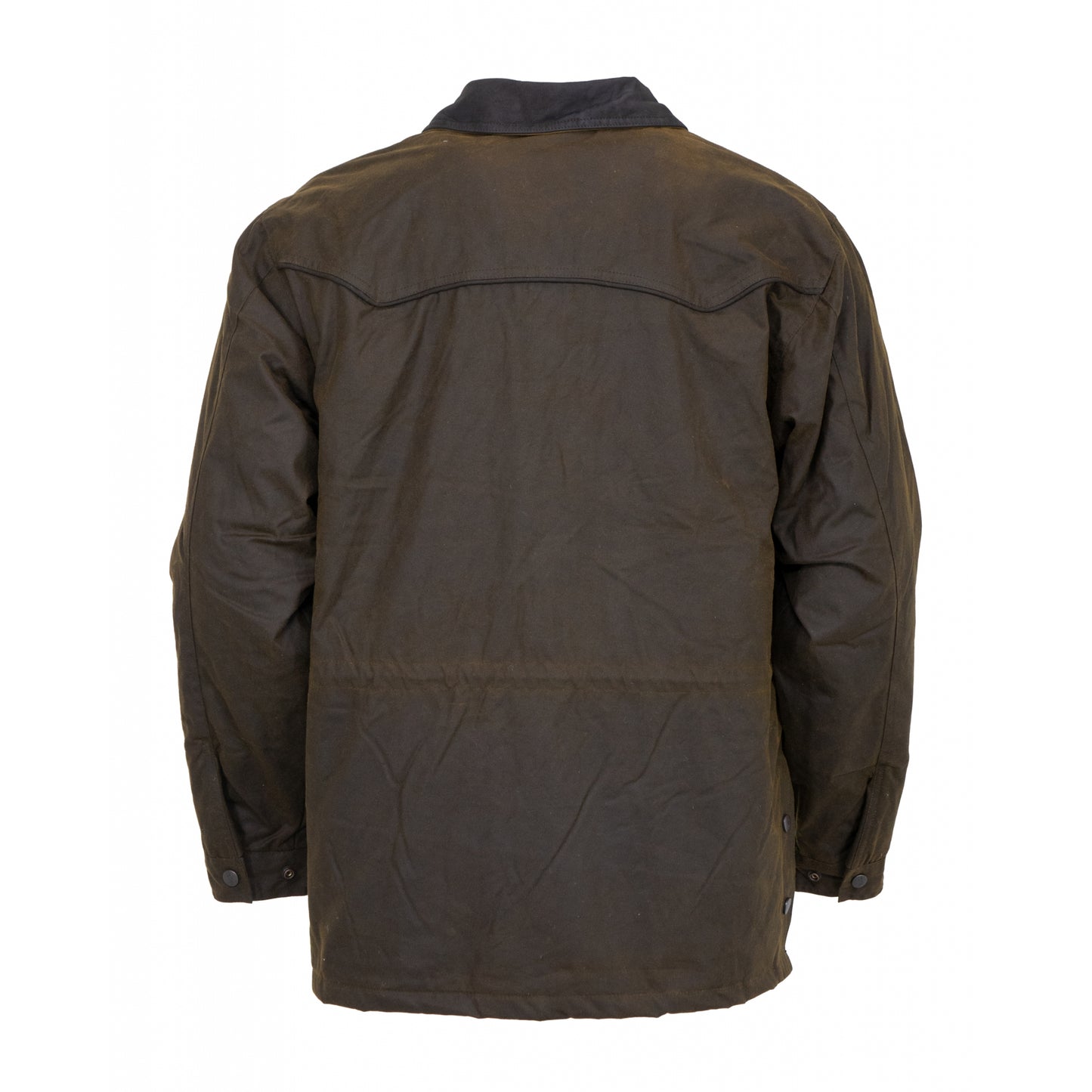 5-702436-bronze2.jpg