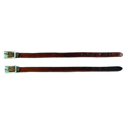 5-707379.jpg