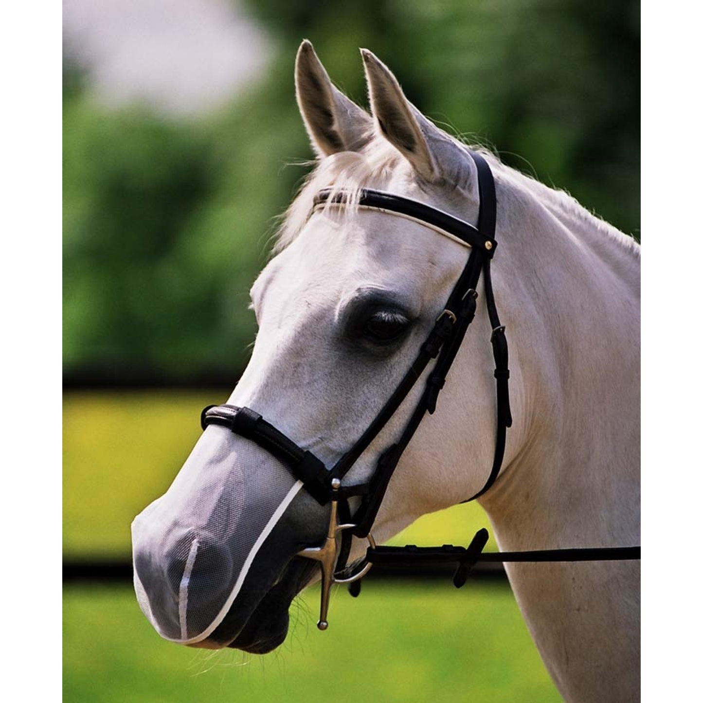 5-770025-white.jpg