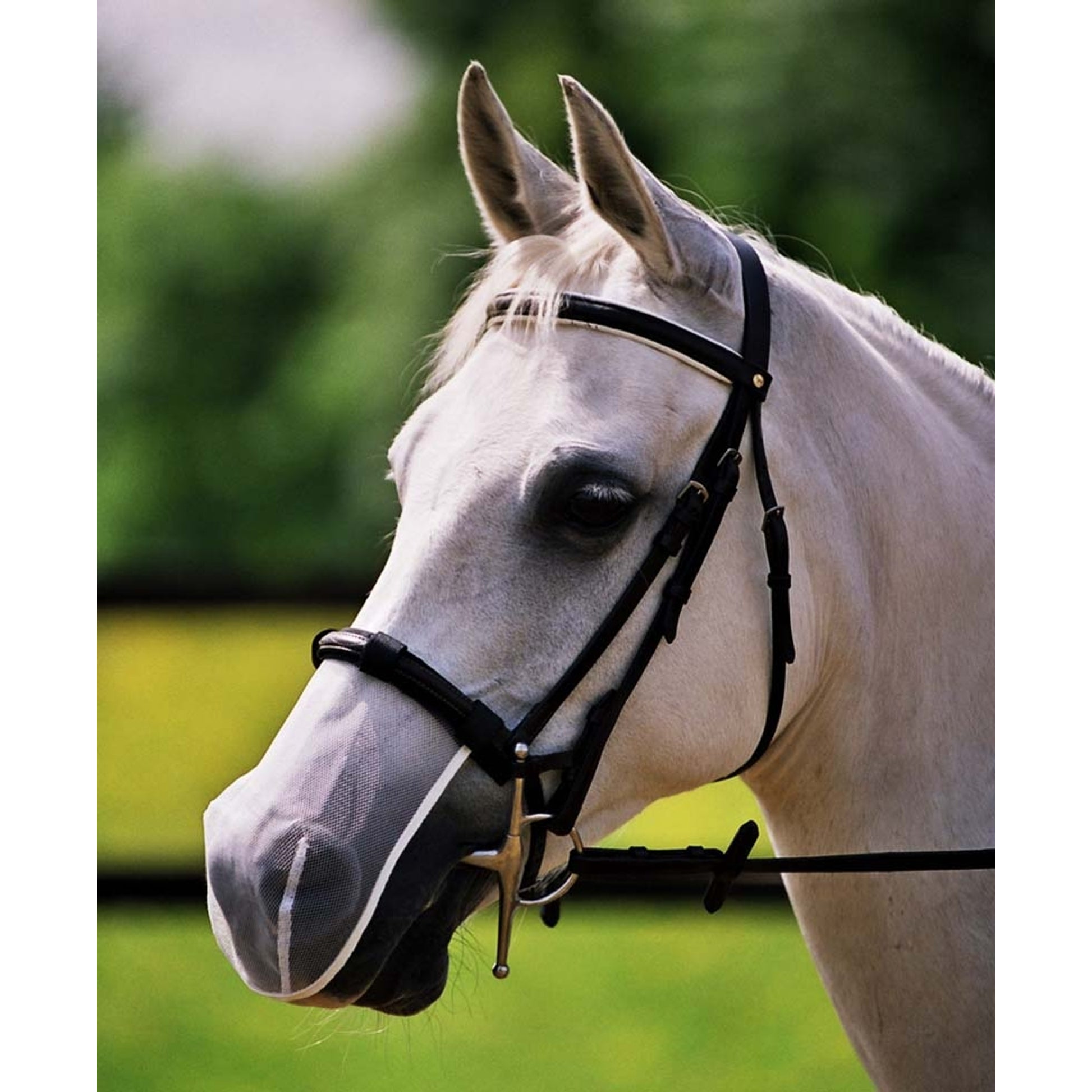 5-770025-white.jpg