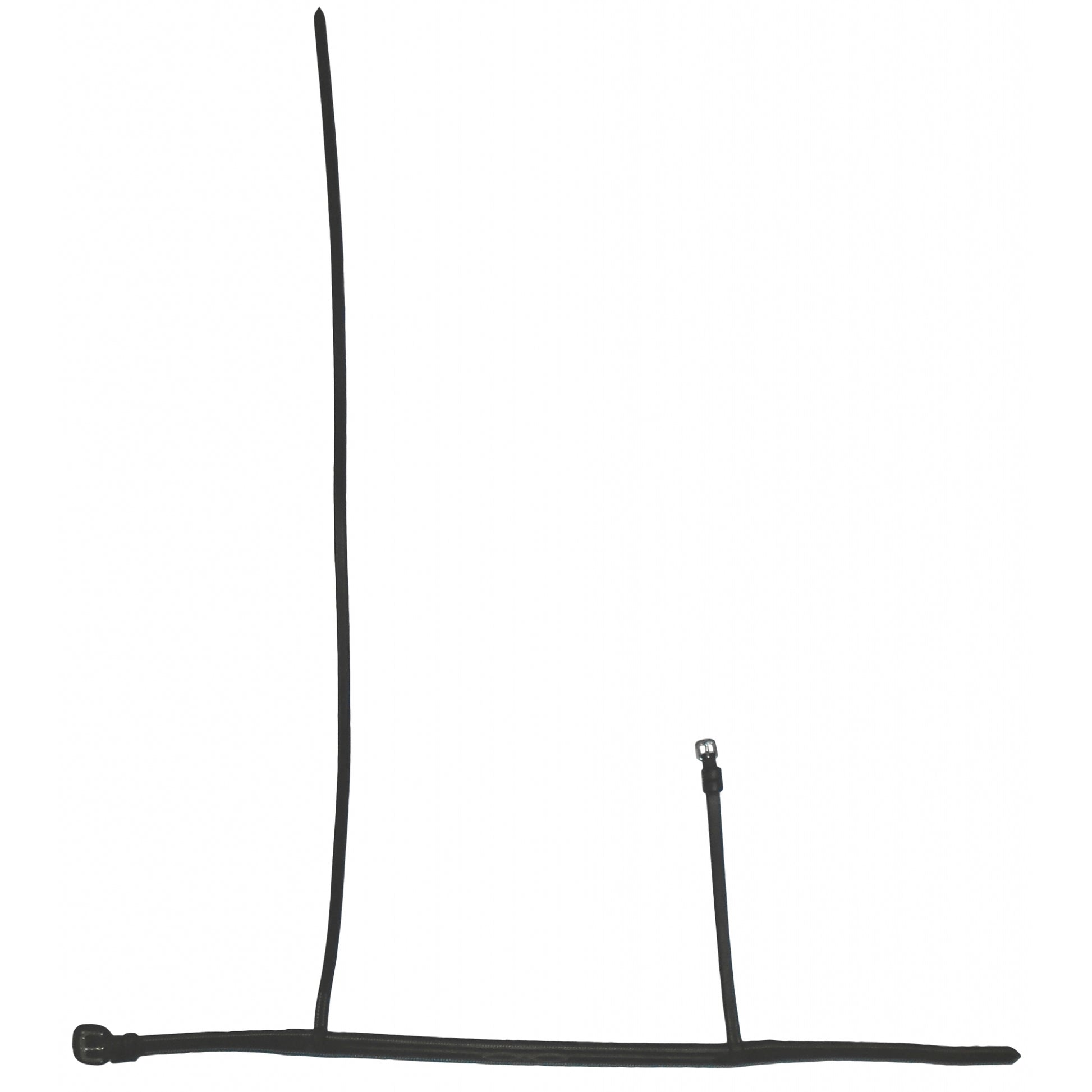 5-807581.jpg
