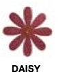 Tail Tamer Equine Body Bling American Flag and Stars