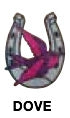 Tail Tamer Equine Body Bling American Flag and Stars