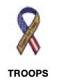 Tail Tamer Equine Body Bling American Flag and Stars