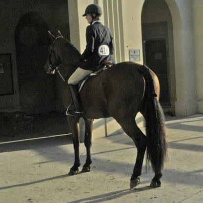 5-822665.jpg