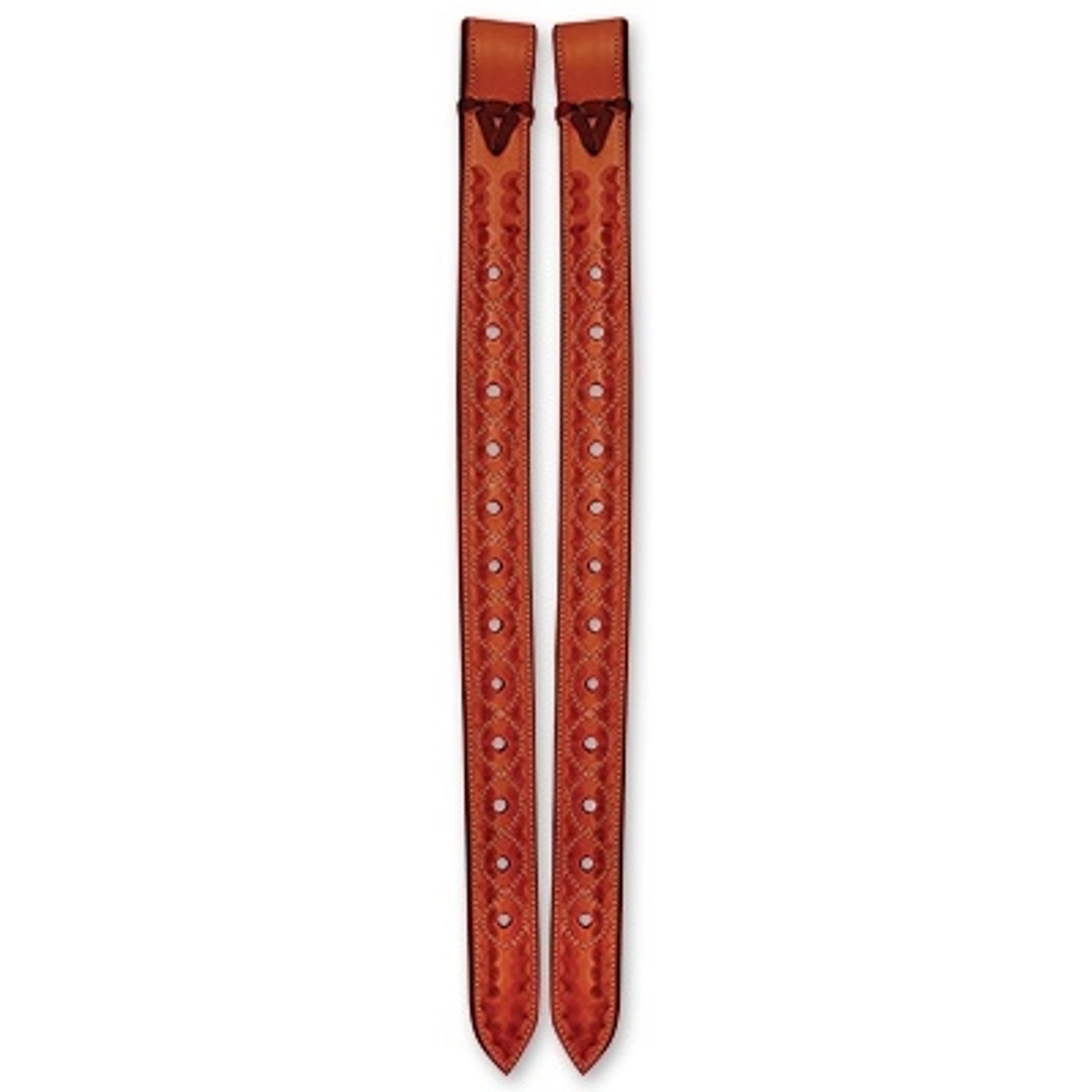 5-828334-chestnut.jpg