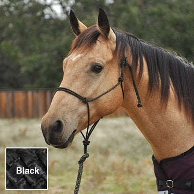 5-828343-black.jpg