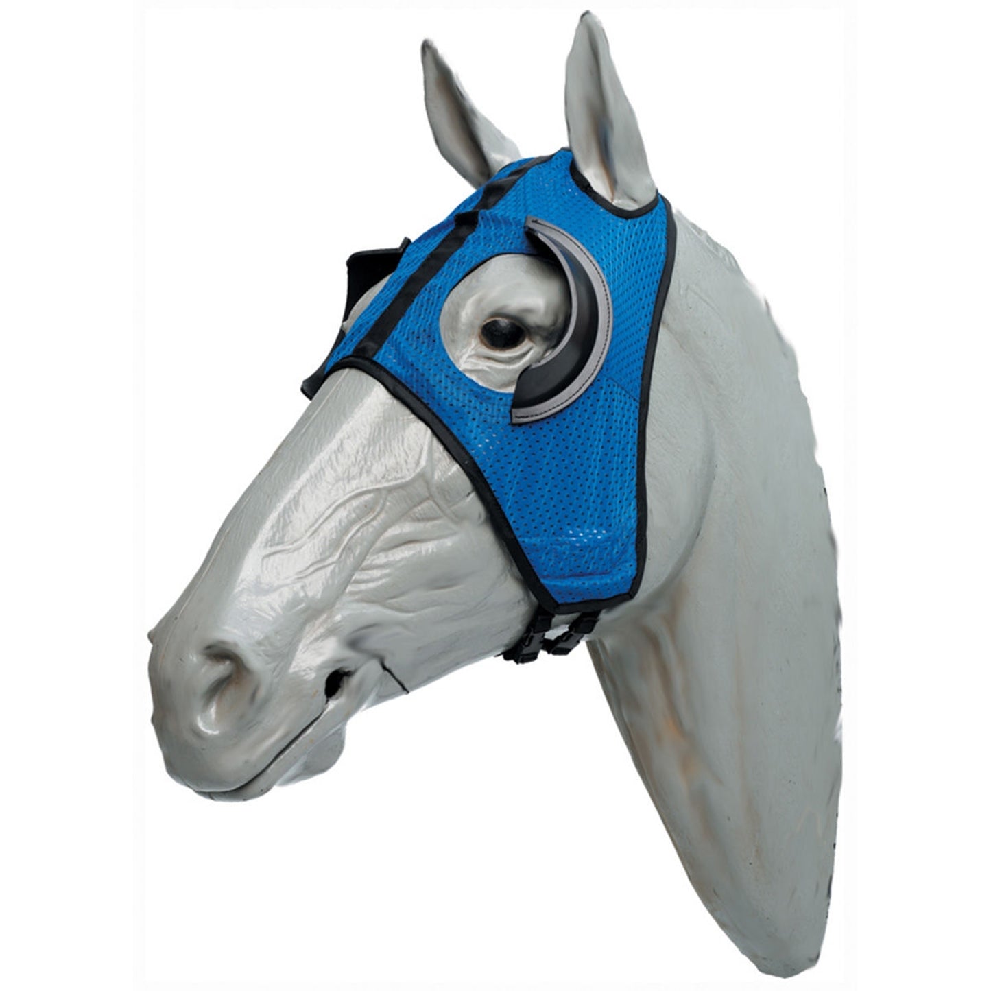 5-837723-blue.jpg