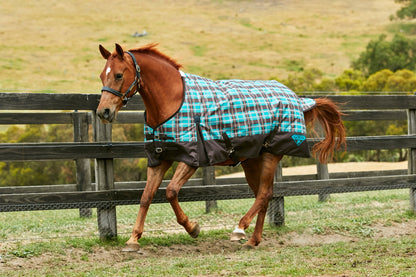 Saxon 1200D Standard Med Blanket