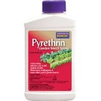 Bonide Pyrethrin
