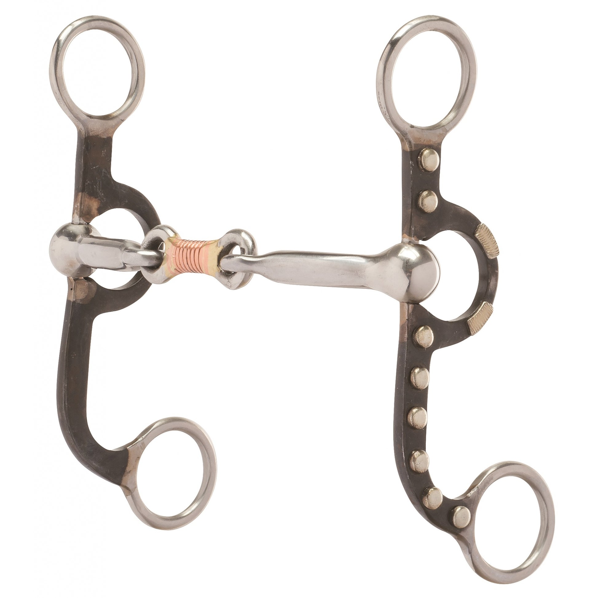 5-841088-wrappeddogbonemouthcopperwire.jpg