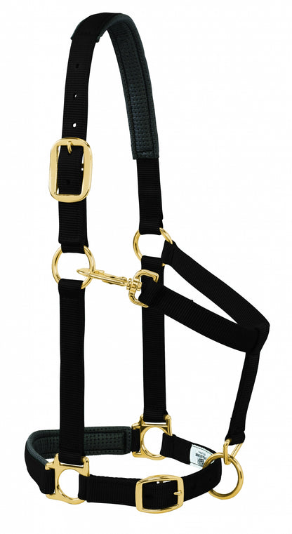 5-841183-black.jpg