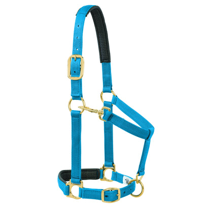 5-841183-blue.jpg