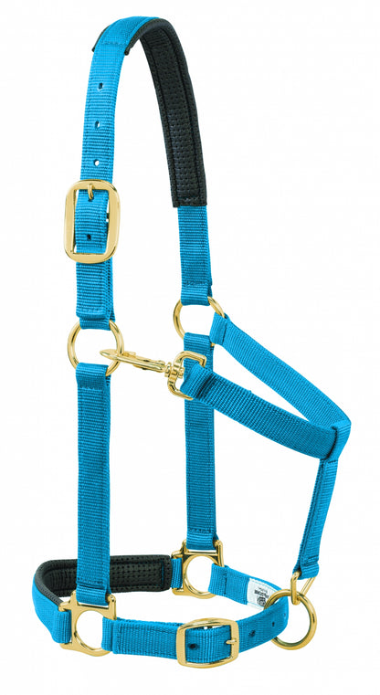 5-841183-blue.jpg