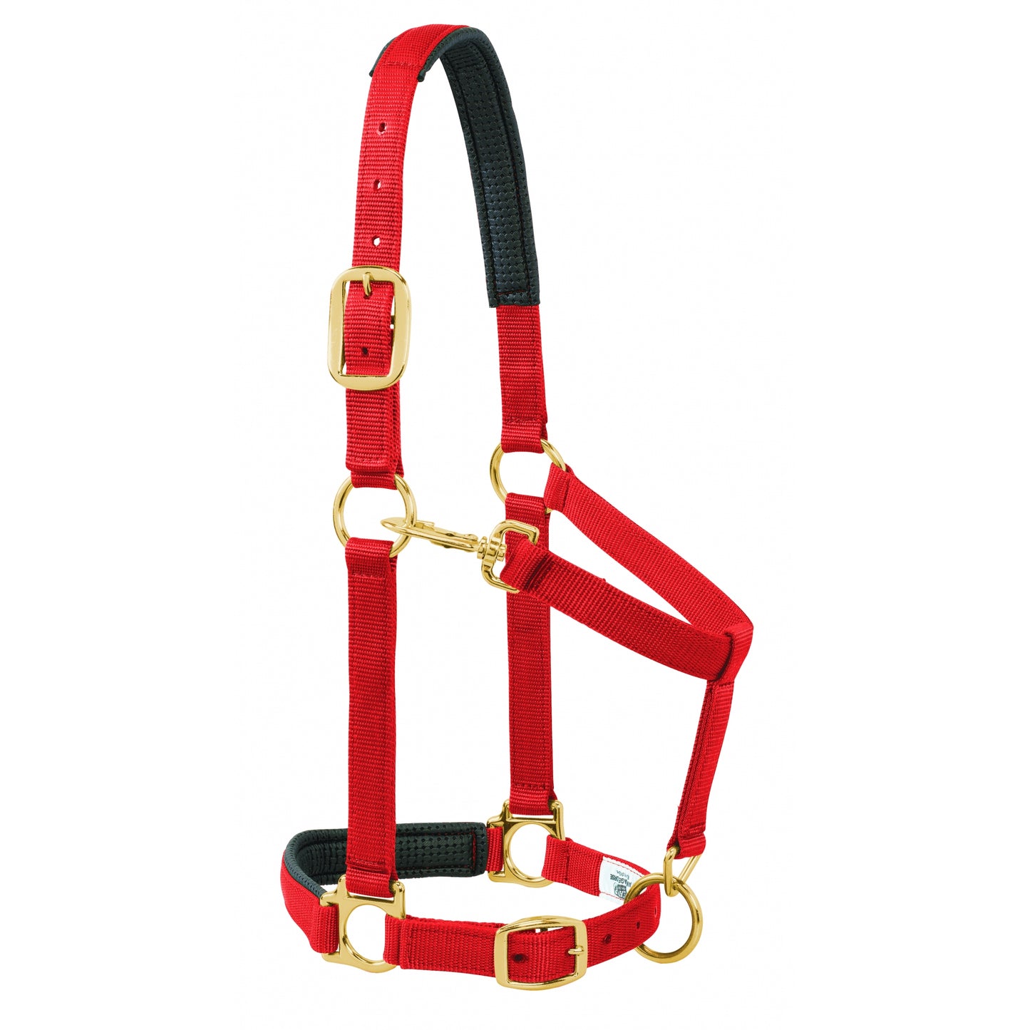 5-841183-red.jpg