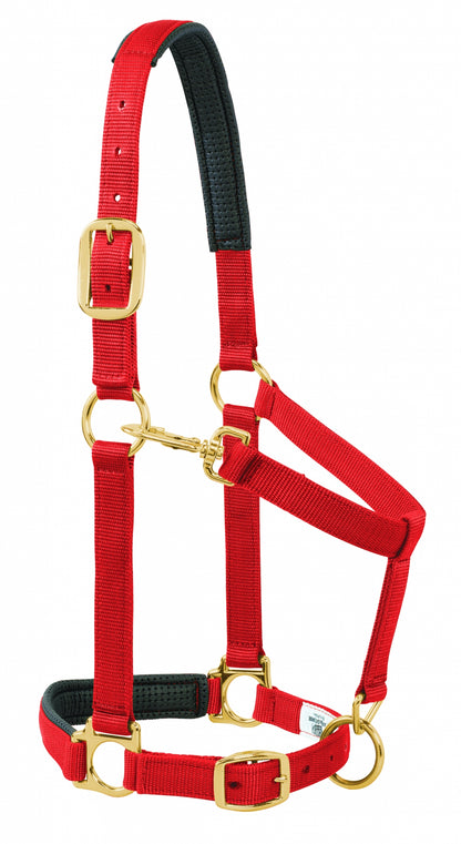 5-841183-red.jpg