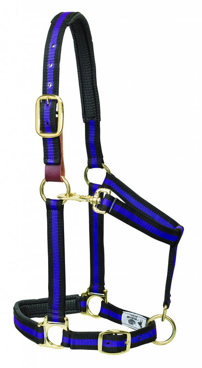 5-841201-purplestriped.jpg