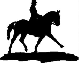 5-843047-dressage.jpg