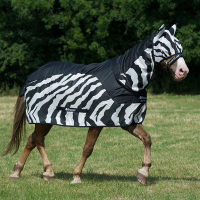 5-845124-zebrab.jpg