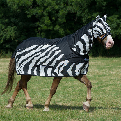 5-845124-zebrab.jpg