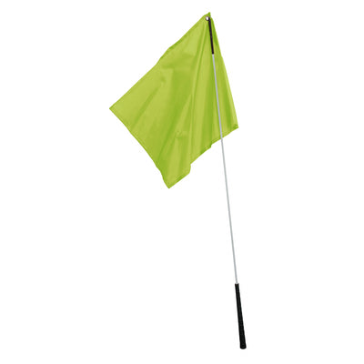 5-848393-lime.jpg