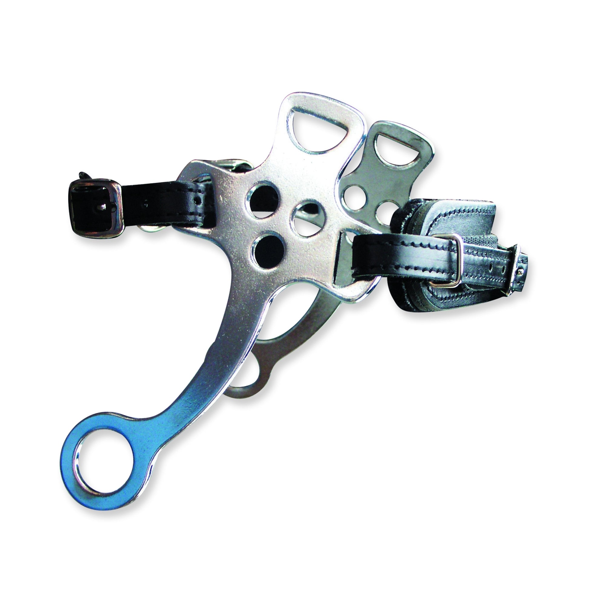 5-848951-leathernosehackamore.jpg