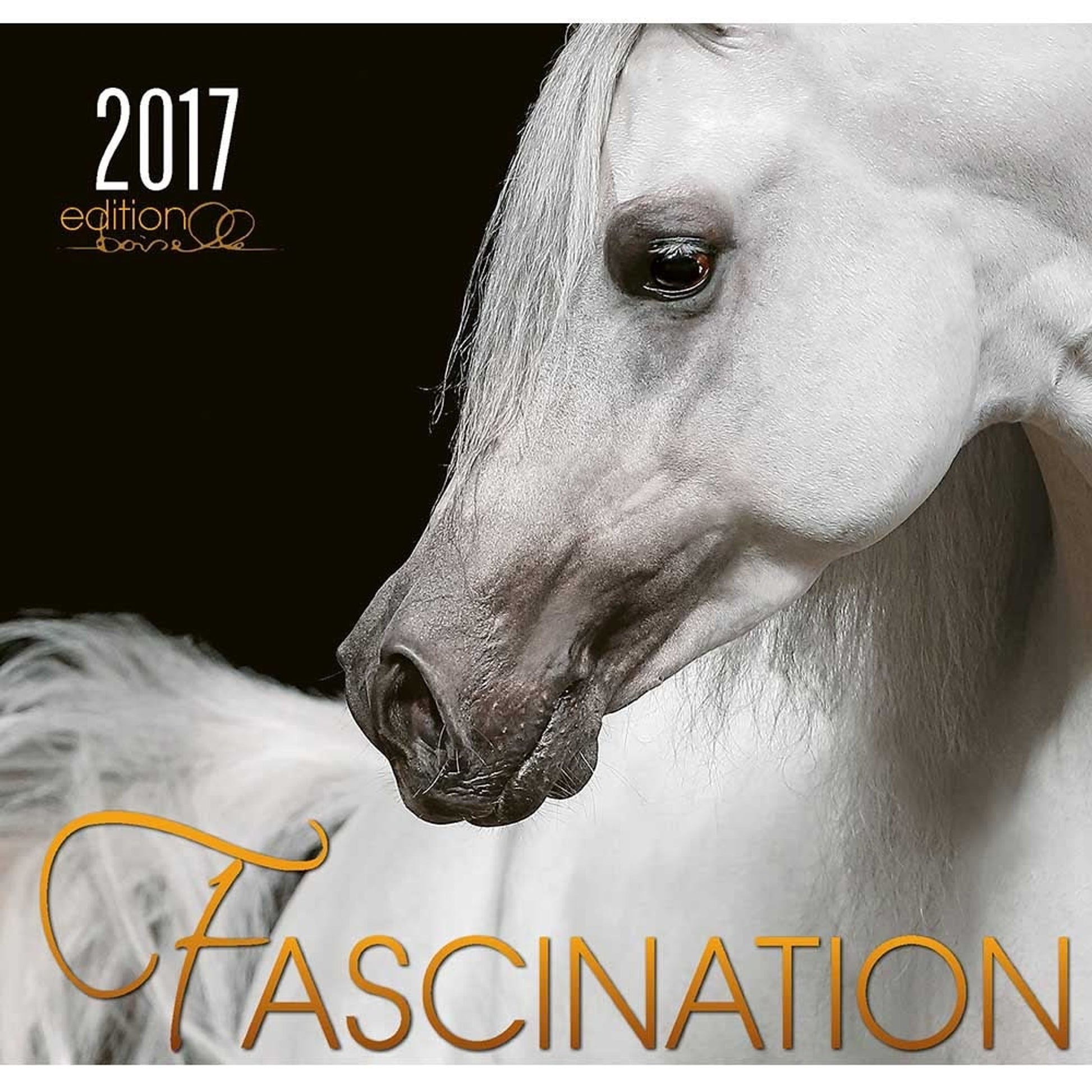 Boiselle Art Calendar Fascination - 2017