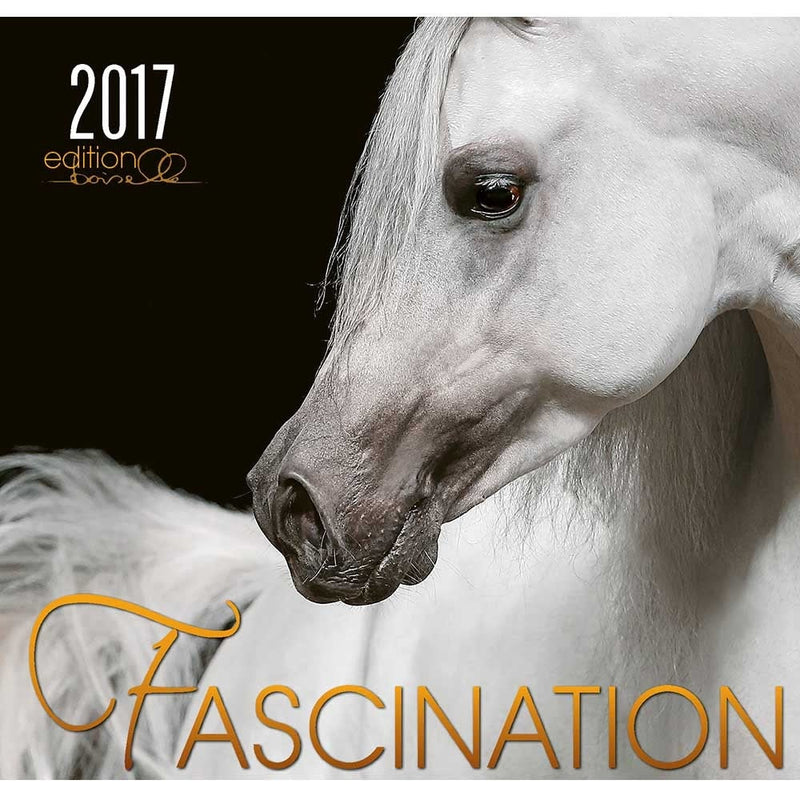 Boiselle Art Calendar Fascination - 2017